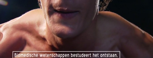 Biomedische Wetenschappen – het tweede jaar