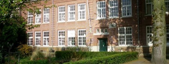 Het einde van de kastanje.