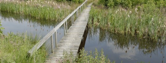 Denk mee over Park Essendael