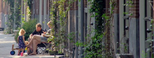 Groei en bloei in Rotterdam-West