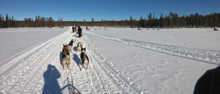 Huskysafari1 Huskysafari
