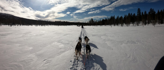 Huskysafari3