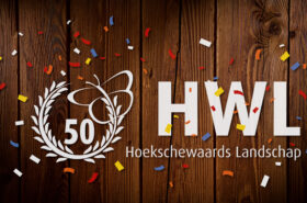 Hoeksche Waarde Pilot